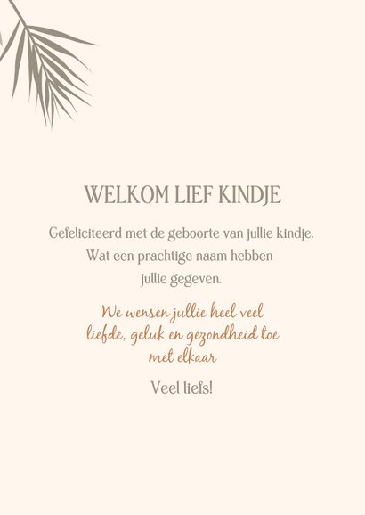 Felicitatiekaart baby news welcome little one 3