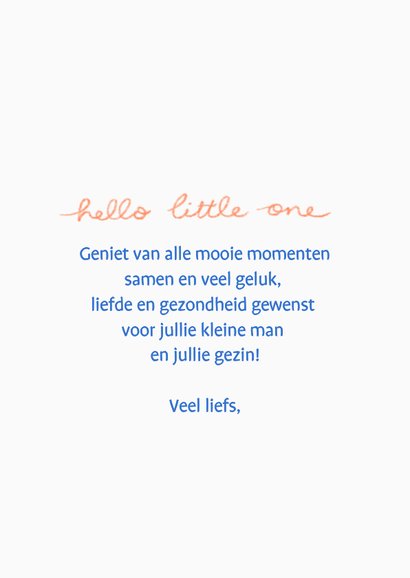 Felicitatiekaart beer met klein beertje hello little one 3