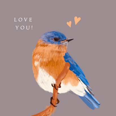 Felicitatiekaart blauw oranje vogel 2