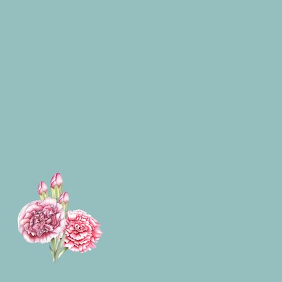 Felicitatiekaart bloemen met anjers en vlinders 2