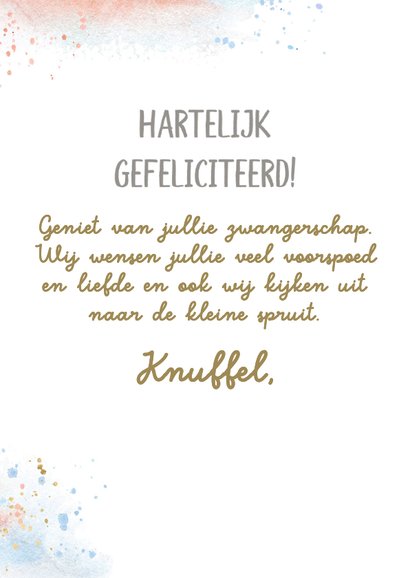 Felicitatiekaart 'blue or pink' 3