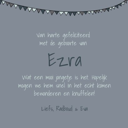 Felicitatiekaart cactussen geboorte jongen 3