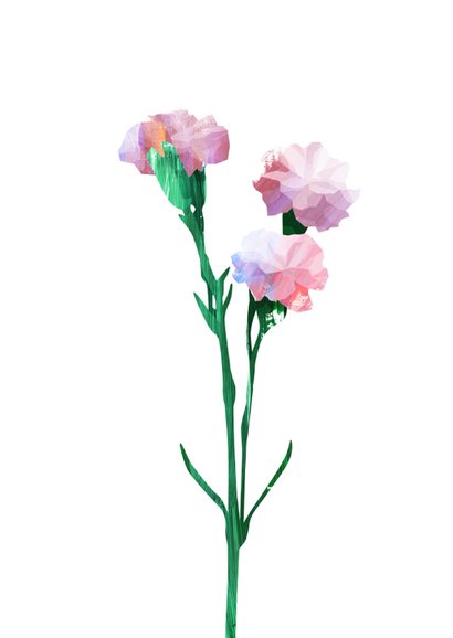 Felicitatiekaart een bosje roze anjers 2