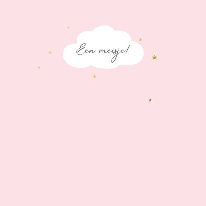 Felicitatiekaart flamingo geboorte 2
