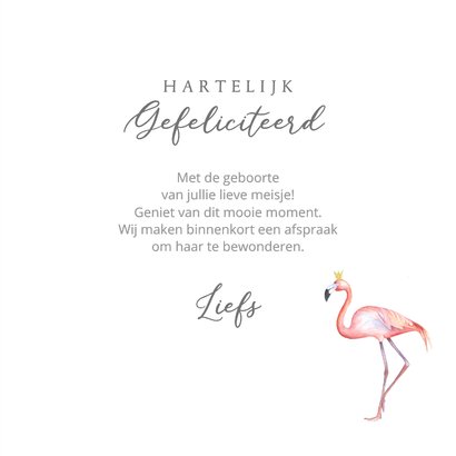 Felicitatiekaart flamingo geboorte 3