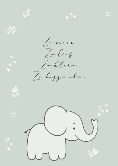 Felicitatiekaart geboorte - baby olifant met mama 2