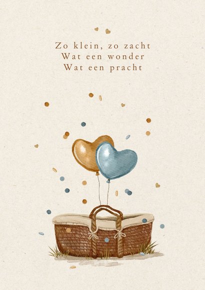 Felicitatiekaart geboorte baby zoon jongen mozesmand 2