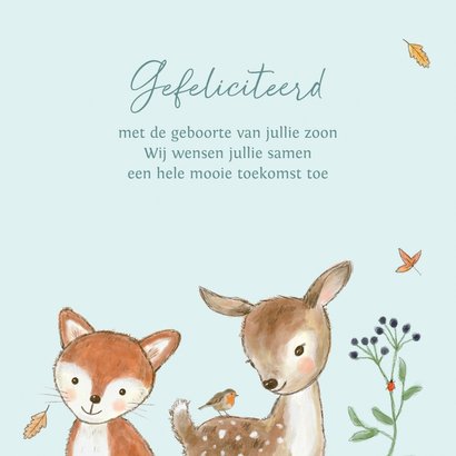 Felicitatiekaart geboorte - bosdieren herfst jongen 3