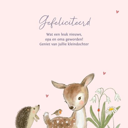 Felicitatiekaart geboorte - bosdieren lente kleindochter 3