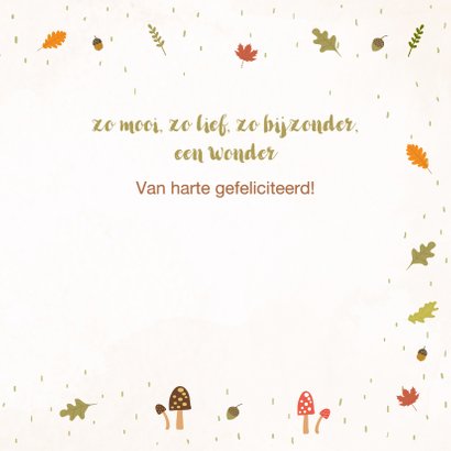 Felicitatiekaart geboorte - Bosdieren met blokletters jongen 3