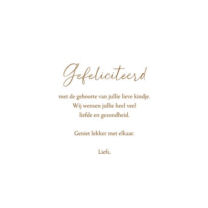Felicitatiekaart geboorte bosdieren met kinderwagen neutraal 3