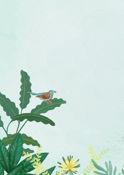 Felicitatiekaart geboorte hangwieg tussen de planten 2