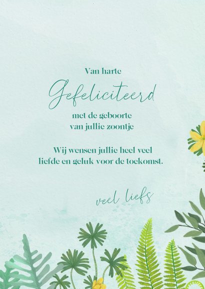 Felicitatiekaart geboorte hangwieg tussen de planten 3