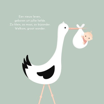 Felicitatiekaart geboorte jongen met ooievaar 2