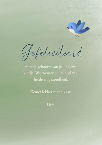 Felicitatiekaart geboorte jongen met vosje en vogel 3