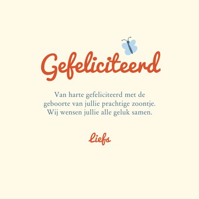 Felicitatiekaart geboorte jongen vlinder en paddenstoel 3