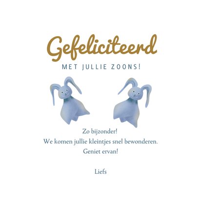 Felicitatiekaart geboorte jongenstweeling met knuffels 3