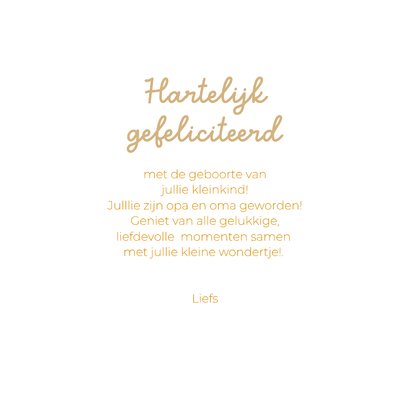 Felicitatiekaart geboorte kleinkind met leeuw quilt 3