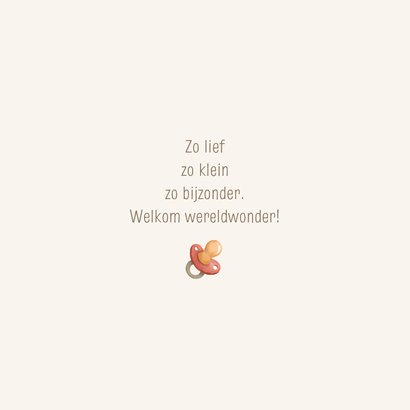 Felicitatiekaart geboorte meisje vlagjes 3