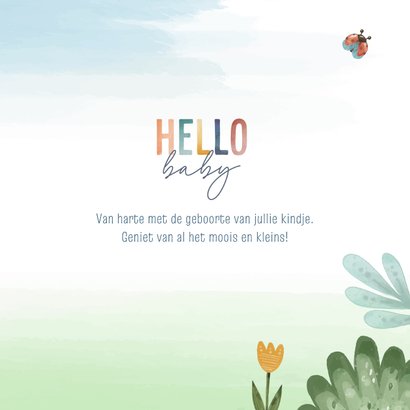 Felicitatiekaart geboorte met kleurrijke tekst 3