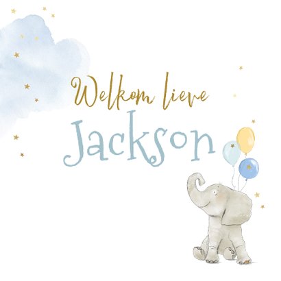 Felicitatiekaart geboorte olifant watercolour foto jongen 2