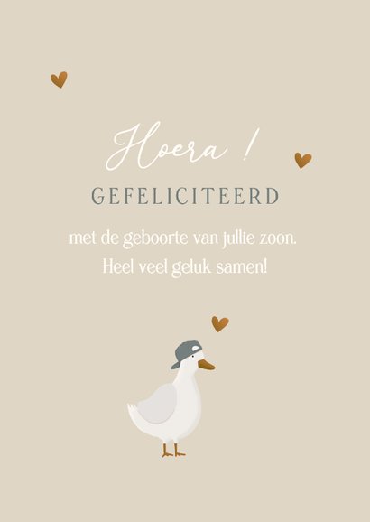 Felicitatiekaart geboorte stoer gansje met petje 3