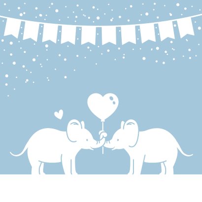 Felicitatiekaart geboorte tweeling 2 jongens met olifantjes 2