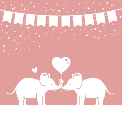Felicitatiekaart geboorte tweeling 2 meisjes met olifantjes 2