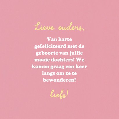 Felicitatiekaart geboorte tweeling konijntjes 3