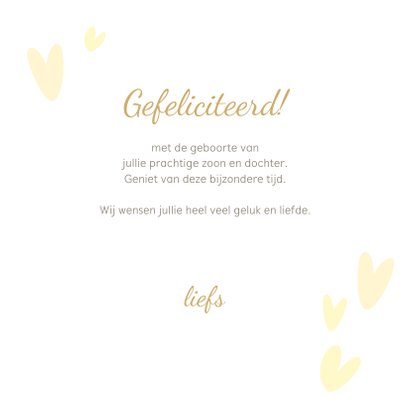 Felicitatiekaart geboorte tweeling olifantjes geel 3