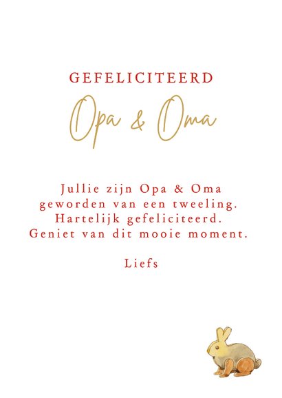 Felicitatiekaart geboorte tweeling opa en oma kaboutertjes 3