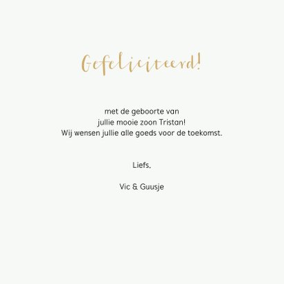 Felicitatiekaart geboorte verschillende dieren met bladeren 3