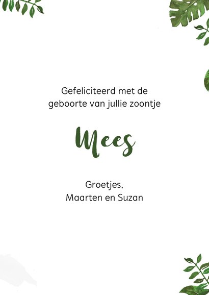 Felicitatiekaart geboorte voor jongen met een stoer leeuwtje 3