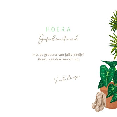 Felicitatiekaart geboorte wiegje tussen de planten  3