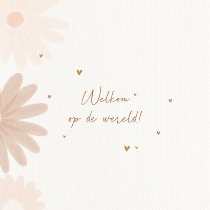 Felicitatiekaart hallo lief kind 2