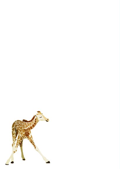 Felicitatiekaart hoera een zoon met giraffes 2