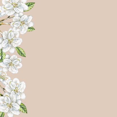 Felicitatiekaart huwelijksjubileum witte bloesem op fluweel 2