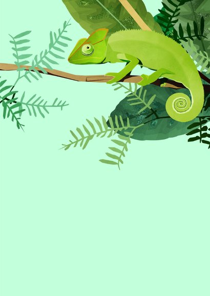 Felicitatiekaart Kameleon 3