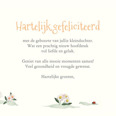 Felicitatiekaart kleinkind met olifantje 3