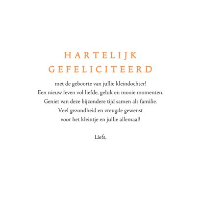 Felicitatiekaart kleinkind met ooievaar 3