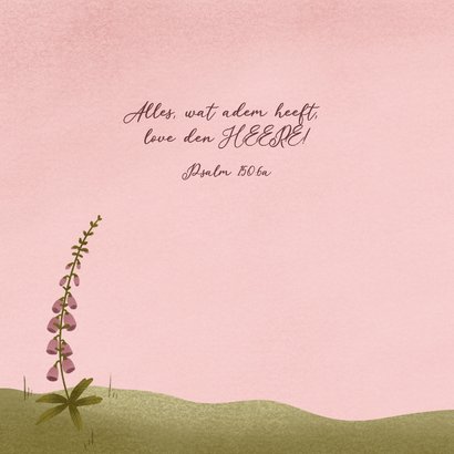 Felicitatiekaart met bloemen gieter en bloemzaadjes 2