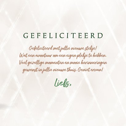 Felicitatiekaart met cactussen en succulent in pot 3