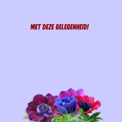 Felicitatiekaart met fleurige anemonen op steigerhout 3
