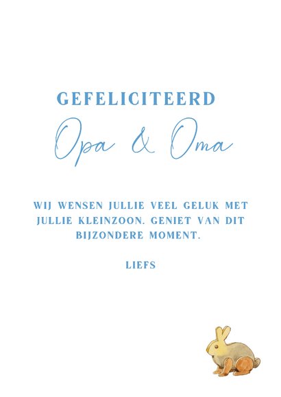 Felicitatiekaart met kabouterwiegje hoera een kleinzoon 3