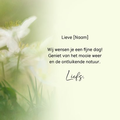 Felicitatiekaart met witte bosanemonen 3