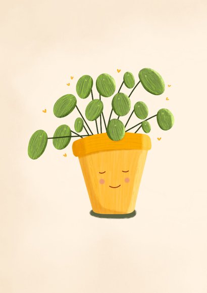 Felicitatiekaart nieuw stekkie met pannenkoekenplant 2