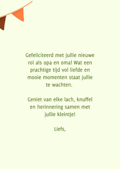 Felicitatiekaart nieuwe opa en oma 3