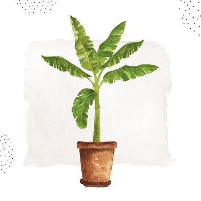 Felicitatiekaart nieuwe woning met groene kamerplanten 2
