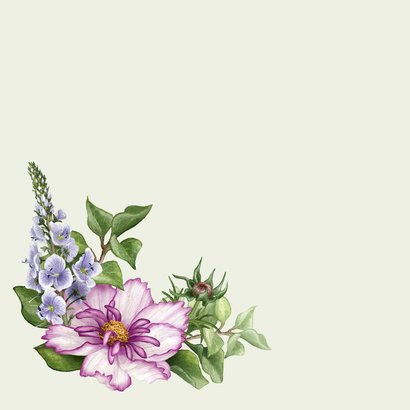 Felicitatiekaart paars blauwe bloemen algemaan 2