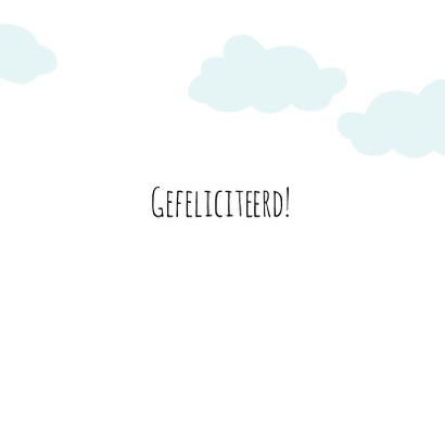 Felicitatiekaart Pinguin geboorte - HB 3
